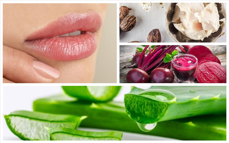 Dưỡng môi bằng các nguyên liệu thiên nhiên